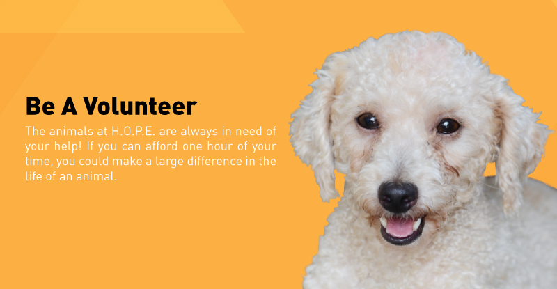 Mobile :: Subpage Masthead :: Be a Volunteer