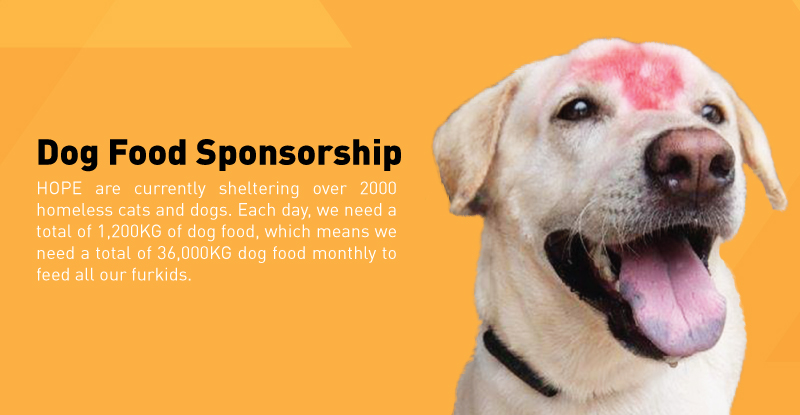 Mobile :: Subpage Masthead :: Dog Food Sponsorship