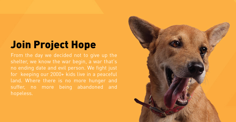Mobile :: Subpage Masthead :: Join Project Hope
