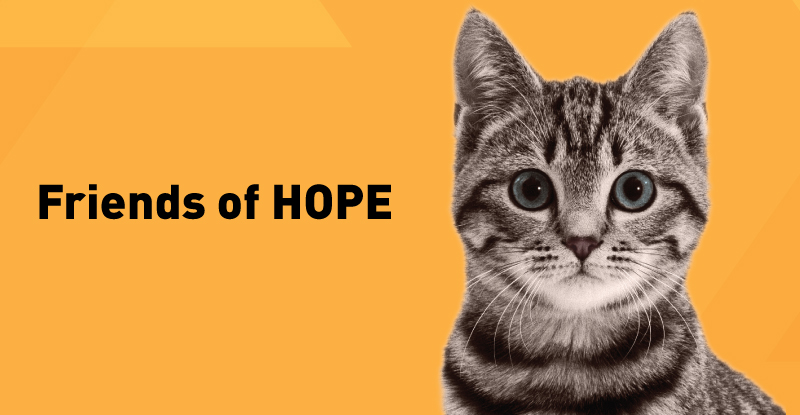 Mobile :: Subpage Masthead :: Friends of HOPE