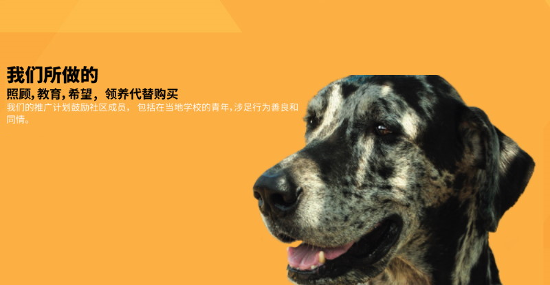 Mobile :: Subpage Masthead :: What We Do :: CH