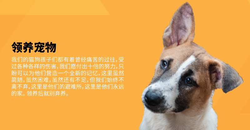 Mobile :: Subpage Masthead :: Adopt a Pet :: CH